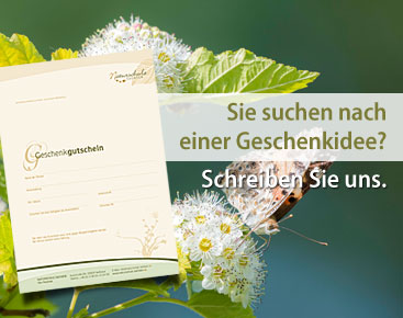 Geschenk-Gutschein Naturschule Sachsen